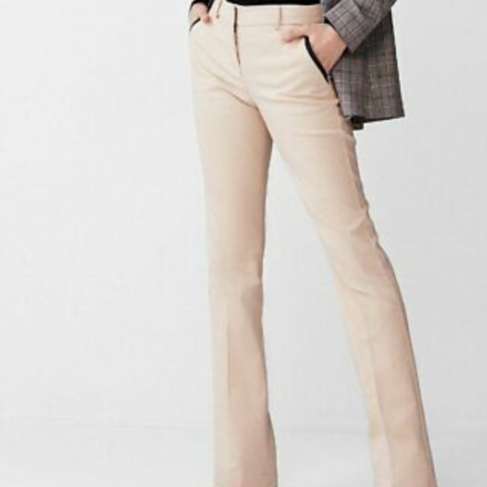 Express Columnist Dress Pant